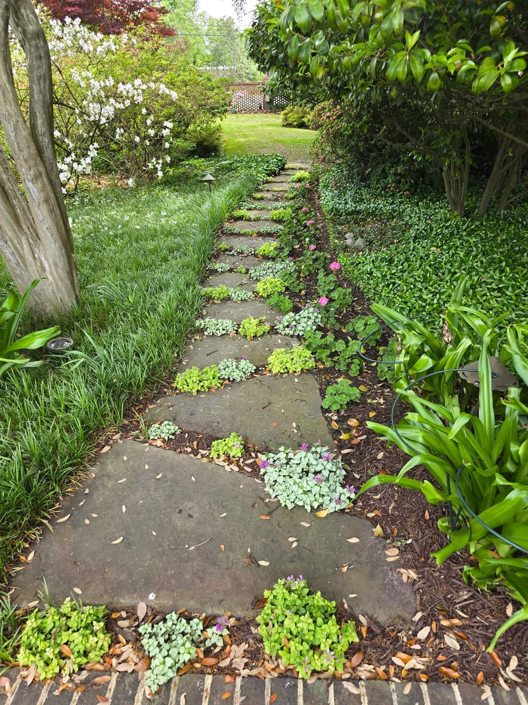 A stepping-stone garden path with groundcover and flowers toward the lawn