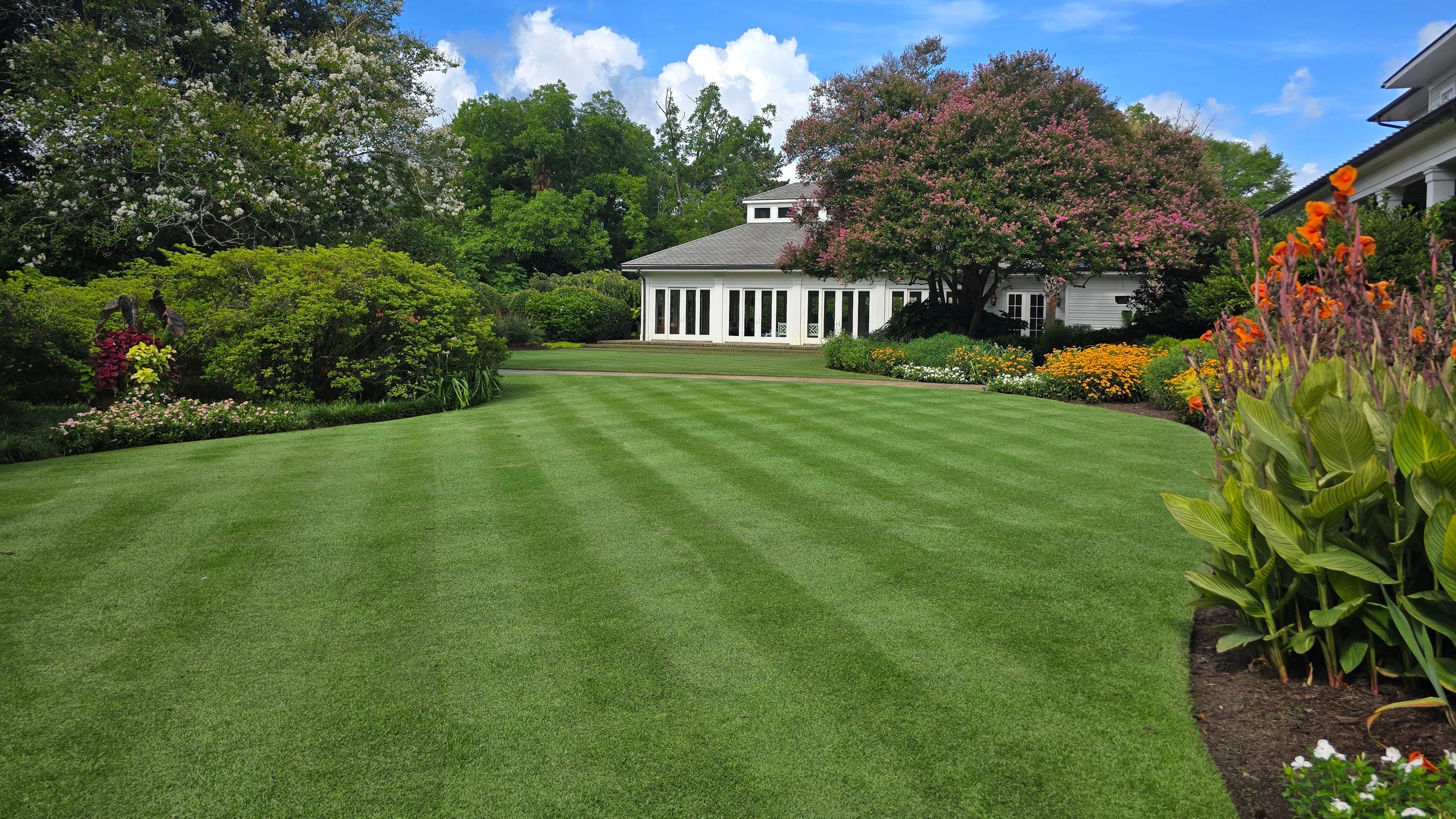A striped backyard lawn and planting beds in front of a white sunroom